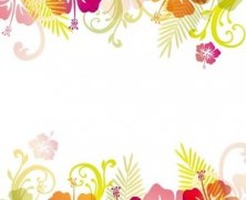 ����ը�� �ֳ�����������