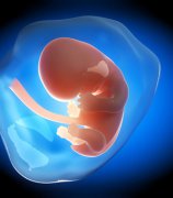 �����������Ծ�ԭ��