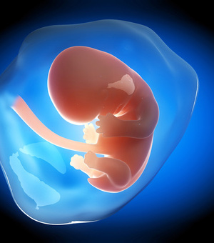 火灾逃生策略九原则